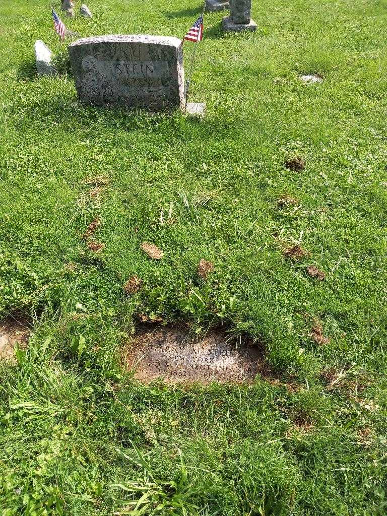 Harry M. Stein's grave. Photo 3