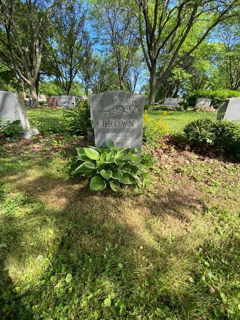 Charles Brown's grave. Photo 1