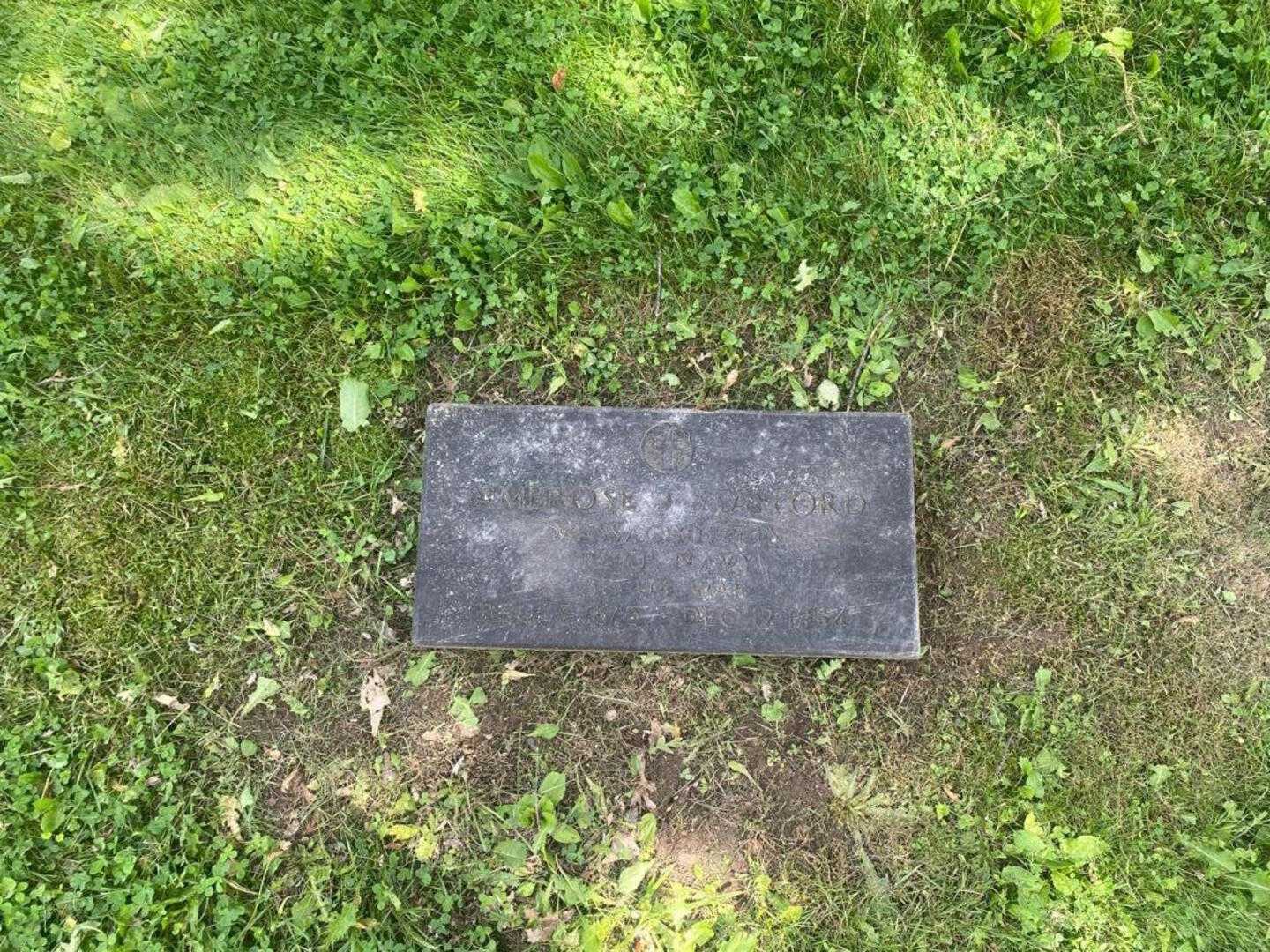 Ambrose J. Stafford US Navy's grave. Photo 1