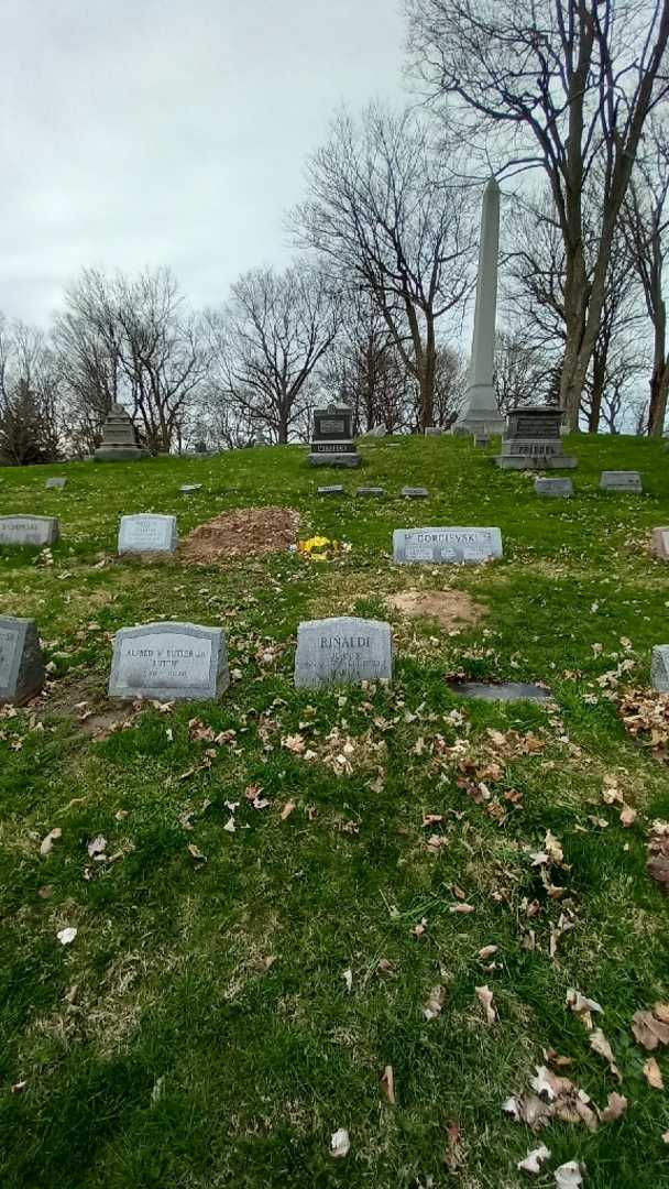 John R. Rinaldi's grave. Photo 1