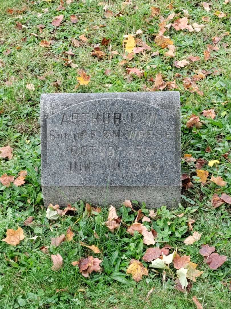 Arthur L. Woese's grave. Photo 3