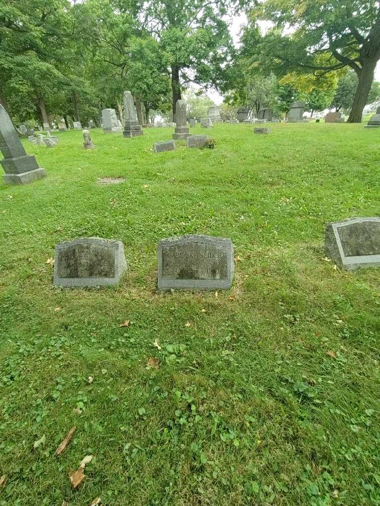 Carl Schneider's grave. Photo 1