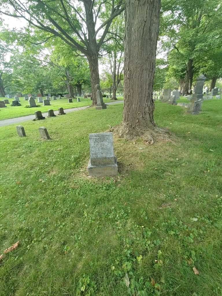 Matilda Klein's grave. Photo 1