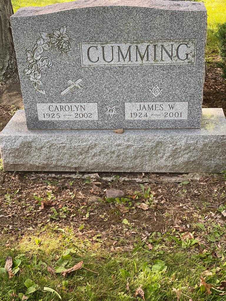 Carolyn Cumming's grave. Photo 3