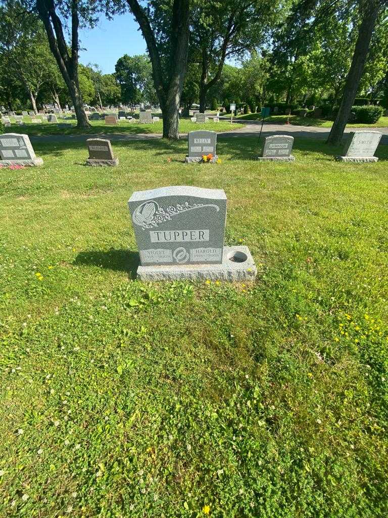 Harold Tupper's grave. Photo 1