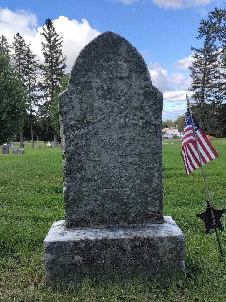 Daniel P. Reese's grave. Photo 3