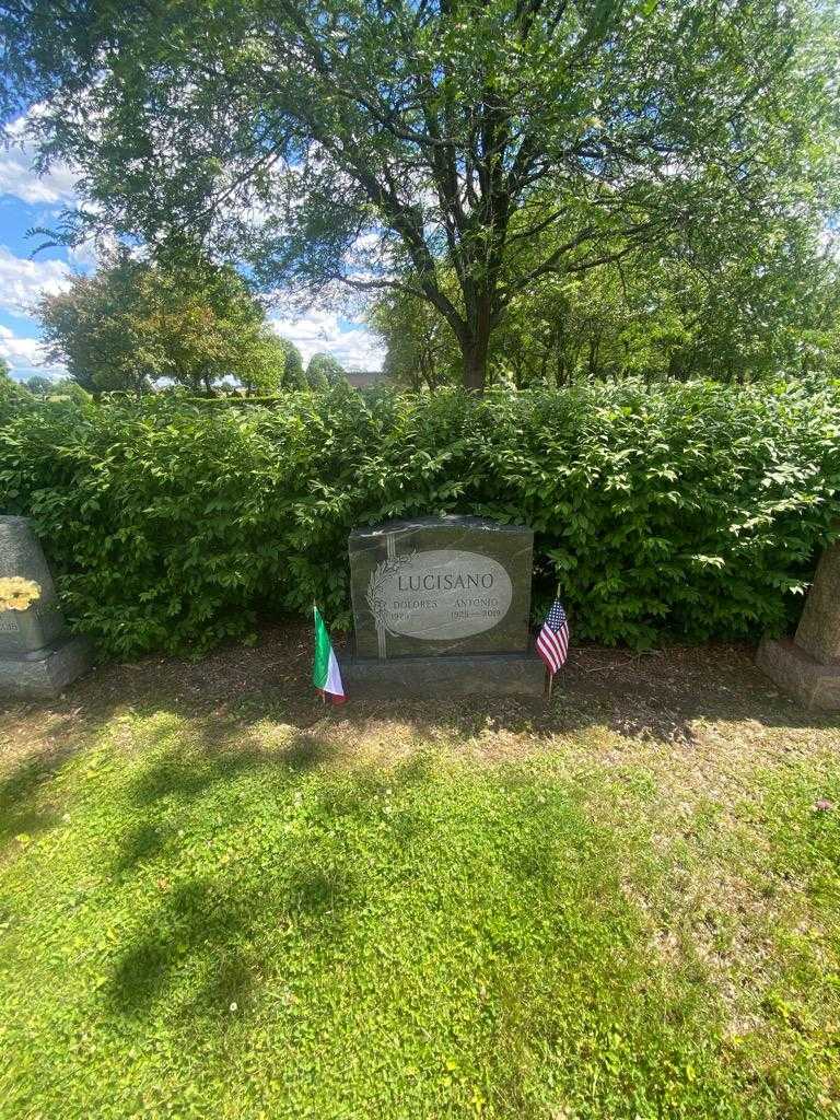 Antonio Lucisano's grave. Photo 1