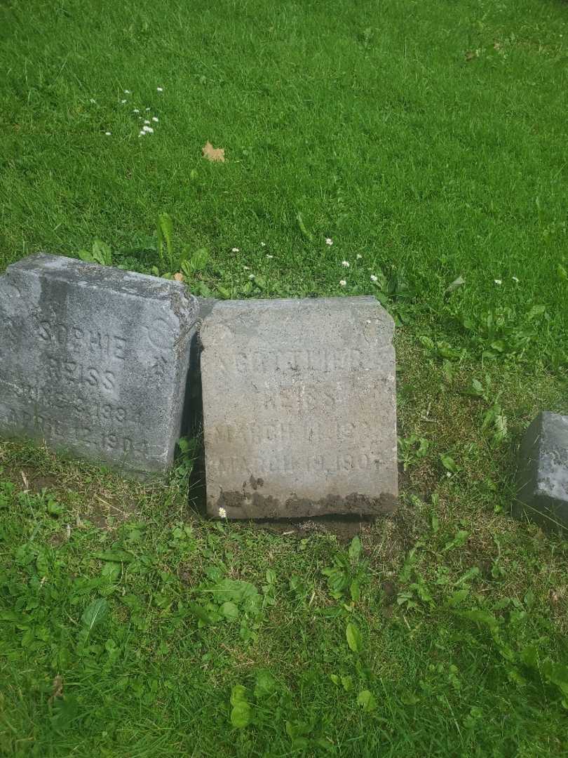 Gottlieb Henry Reiss's grave. Photo 3