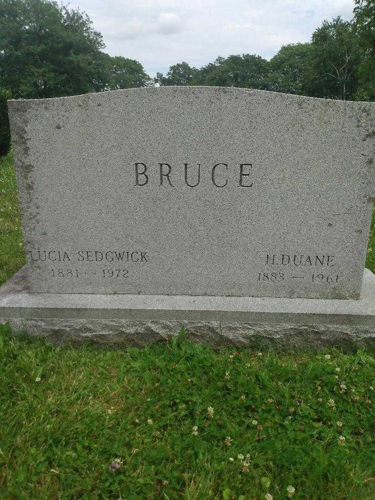 Lucia Bruce Sedgwick's grave. Photo 2