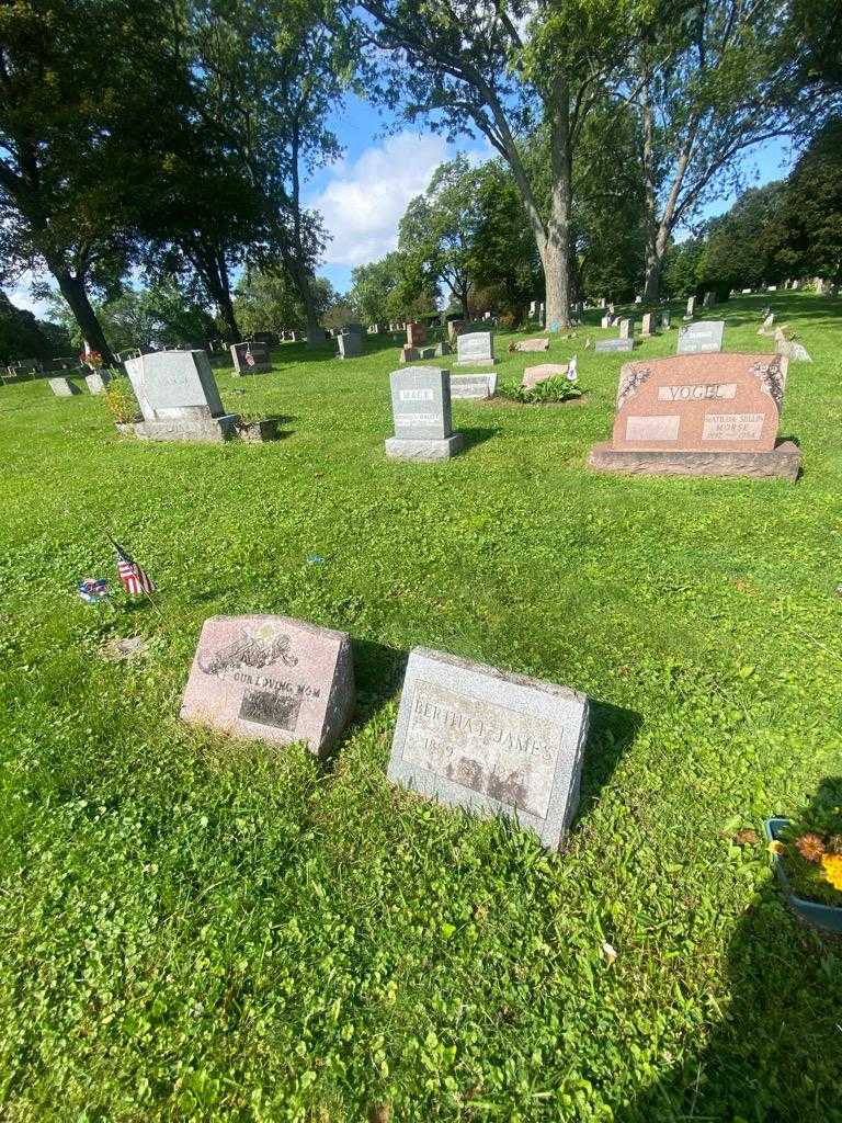 Bertha F. James's grave. Photo 1