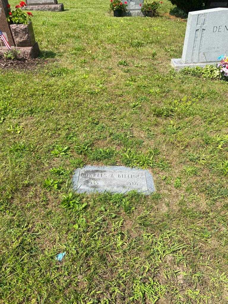 Charles A. Billings's grave. Photo 2