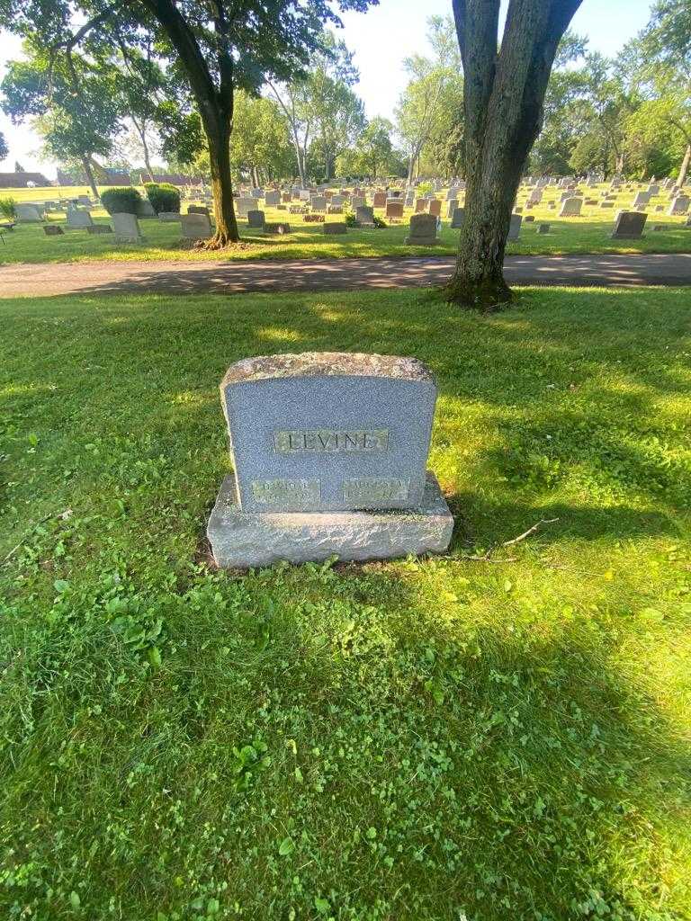 David L. Levine's grave. Photo 1
