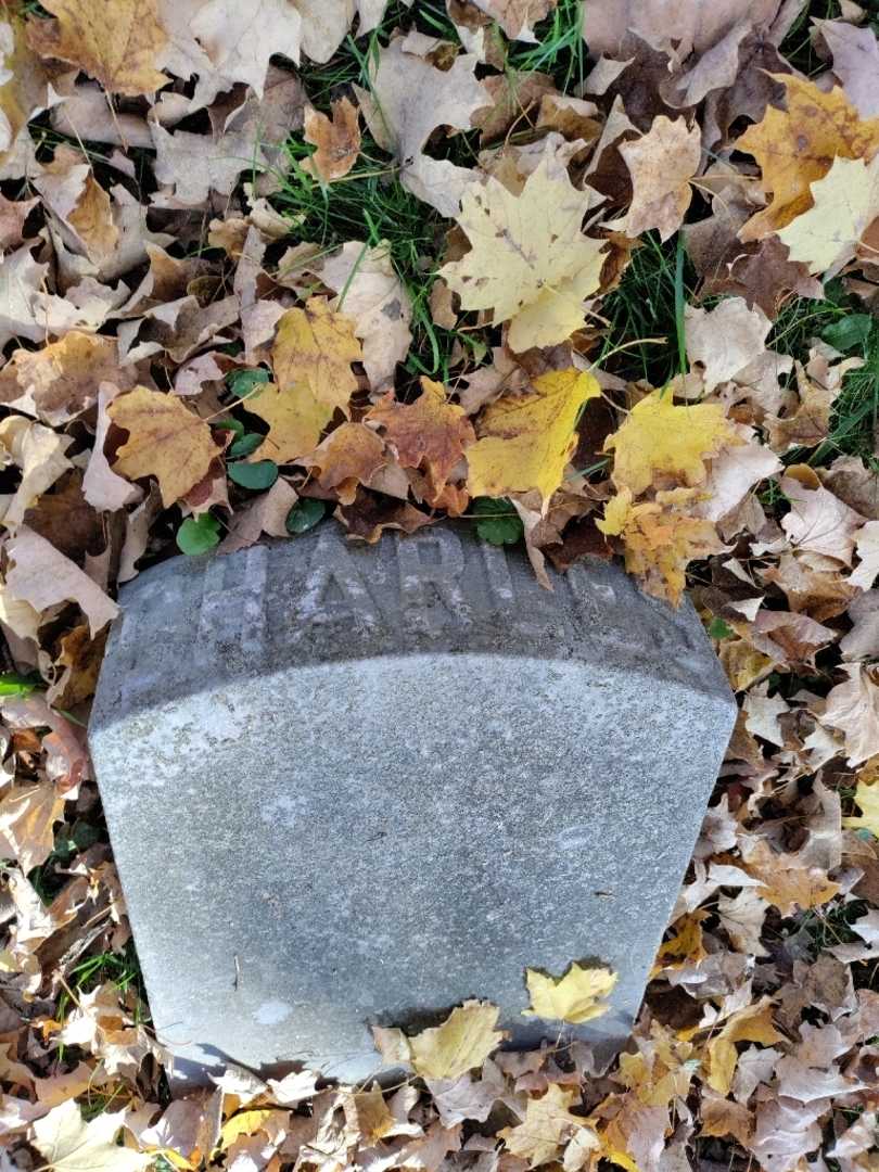 Charles Augustus Smith's grave. Photo 4