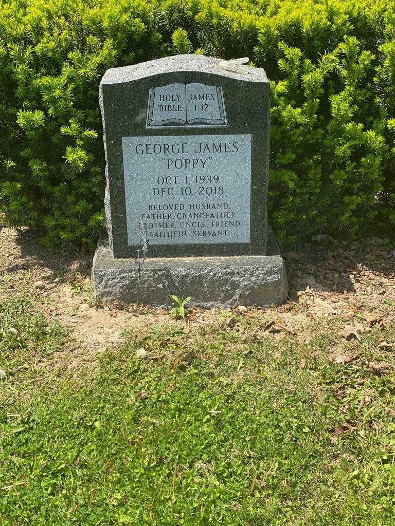 George "Poppy" James's grave. Photo 1