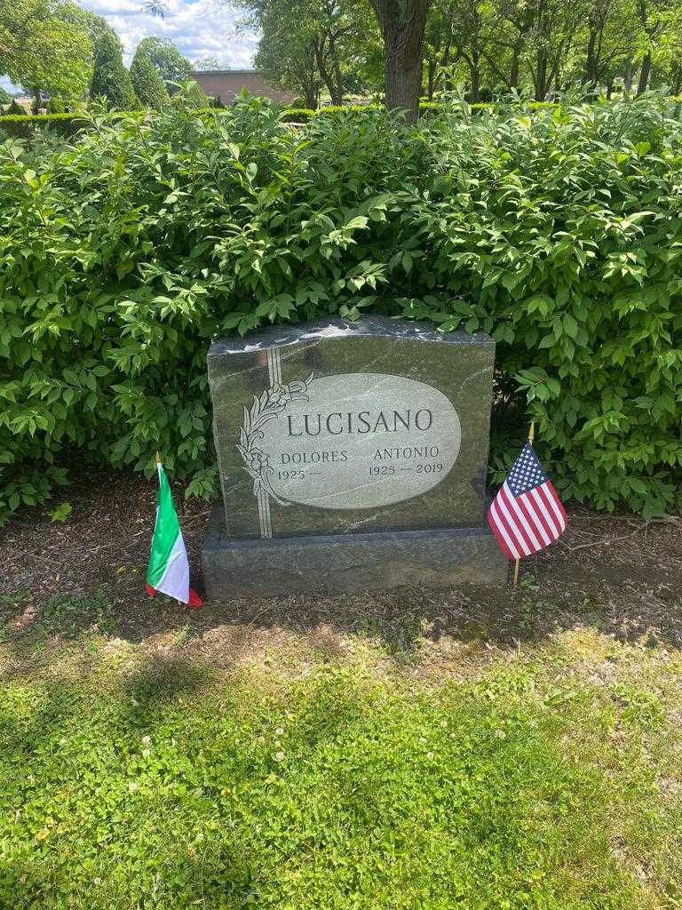 Antonio Lucisano's grave. Photo 2