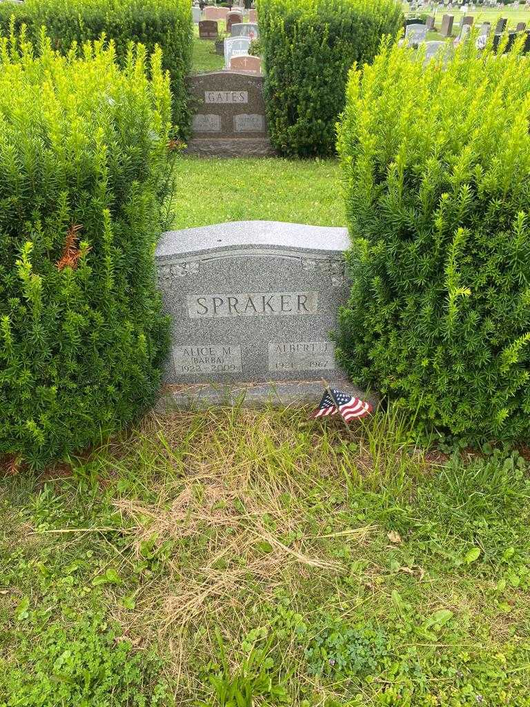 Albert J. Spraker's grave. Photo 2