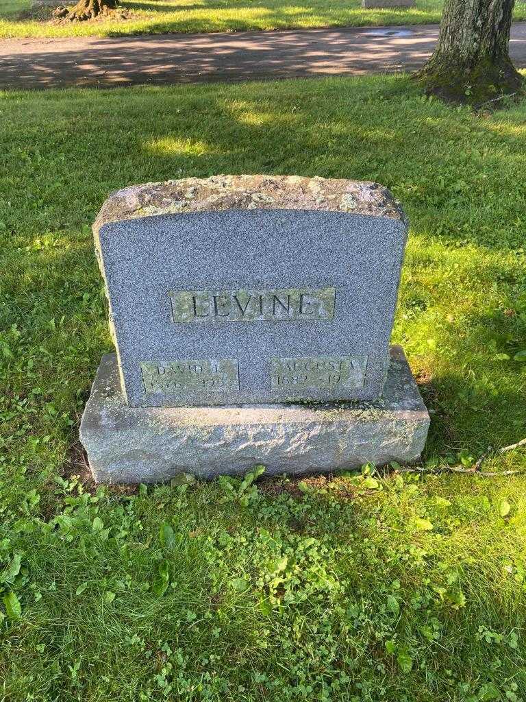 David L. Levine's grave. Photo 2