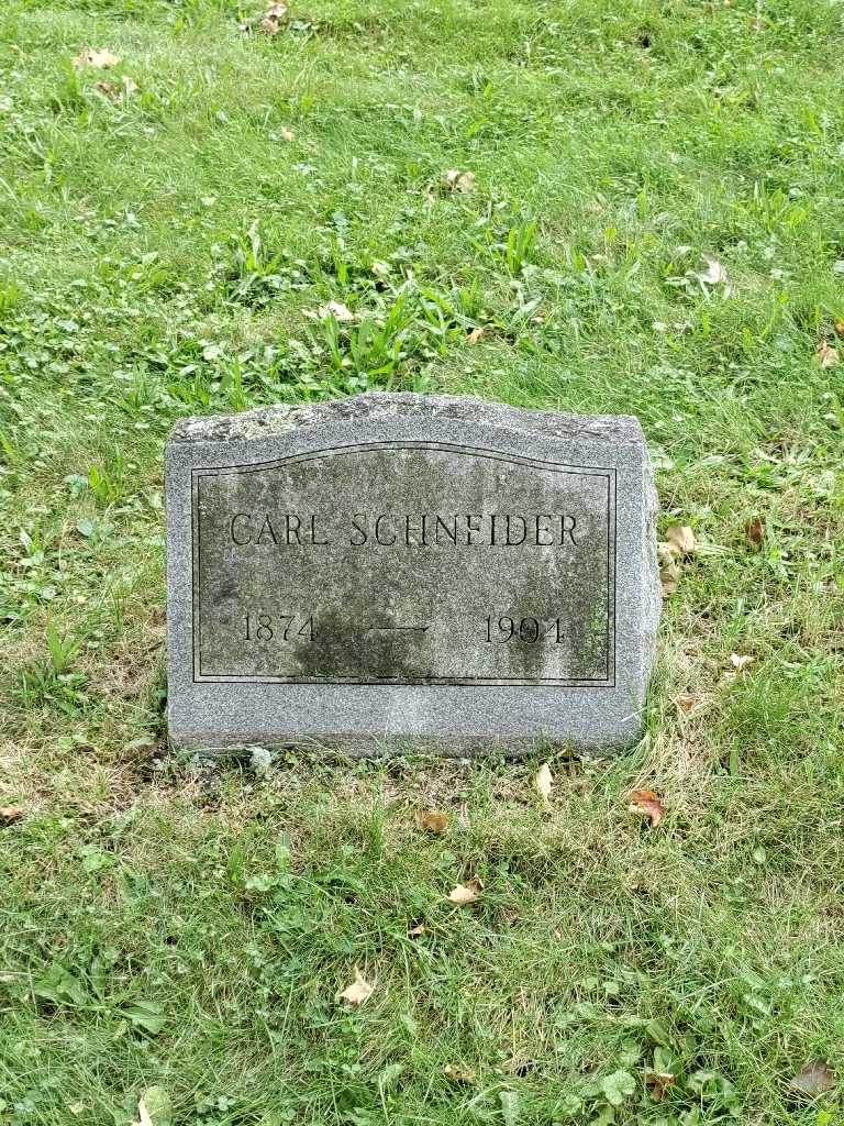 Carl Schneider's grave. Photo 2