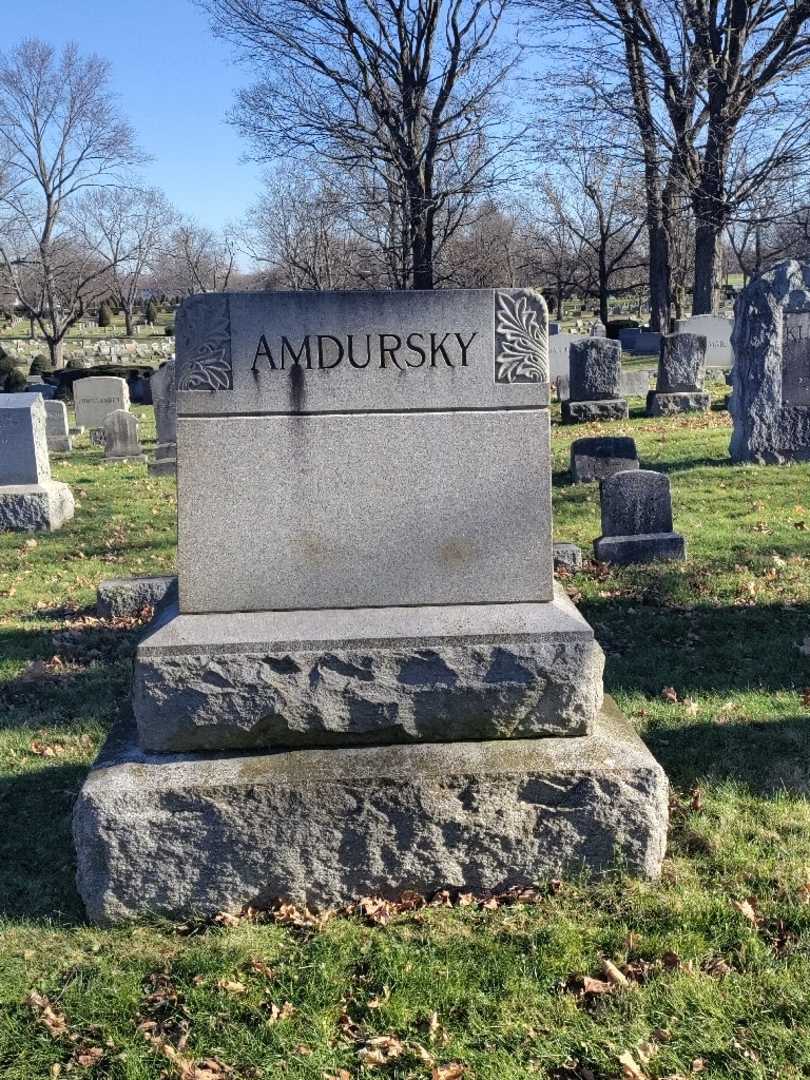 Sonya Ross Amdursky's grave. Photo 4