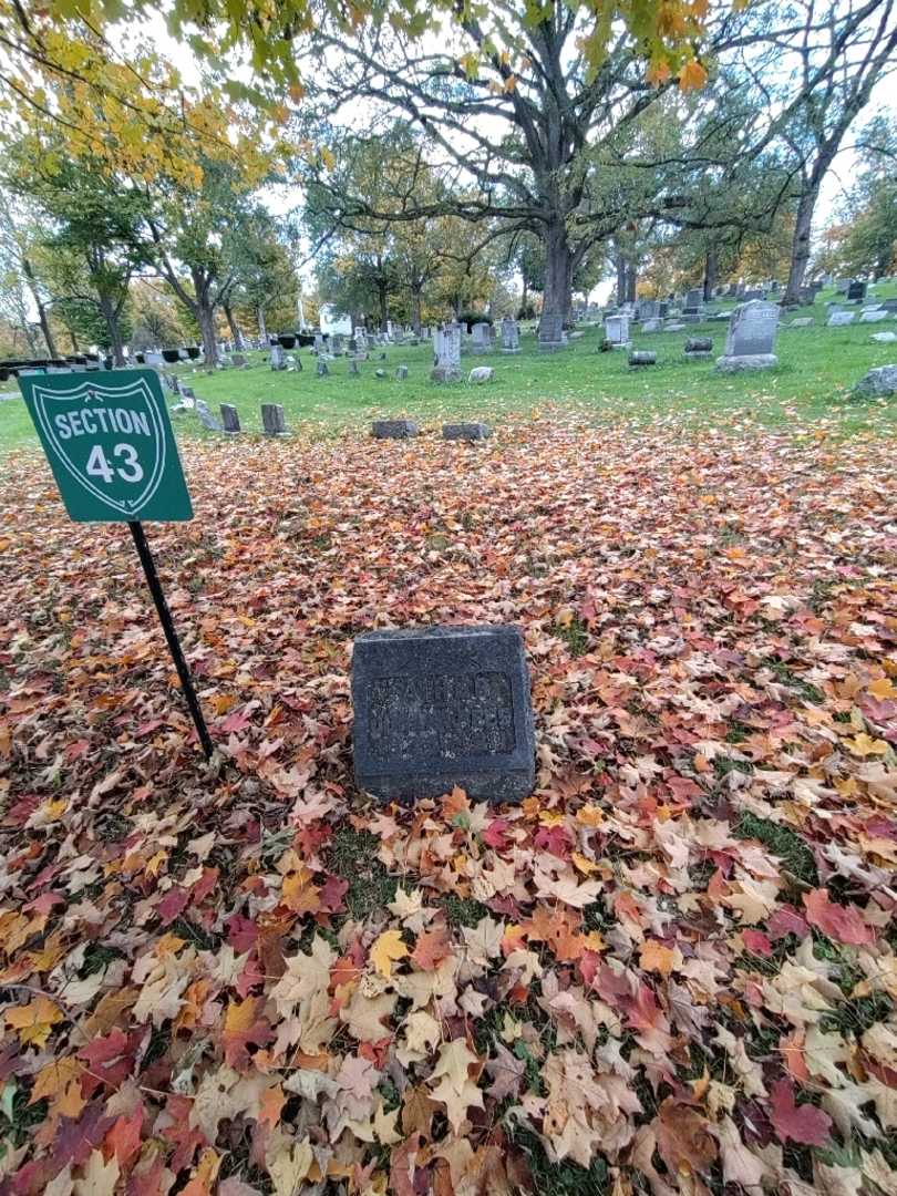 Johann Rees's grave. Photo 1