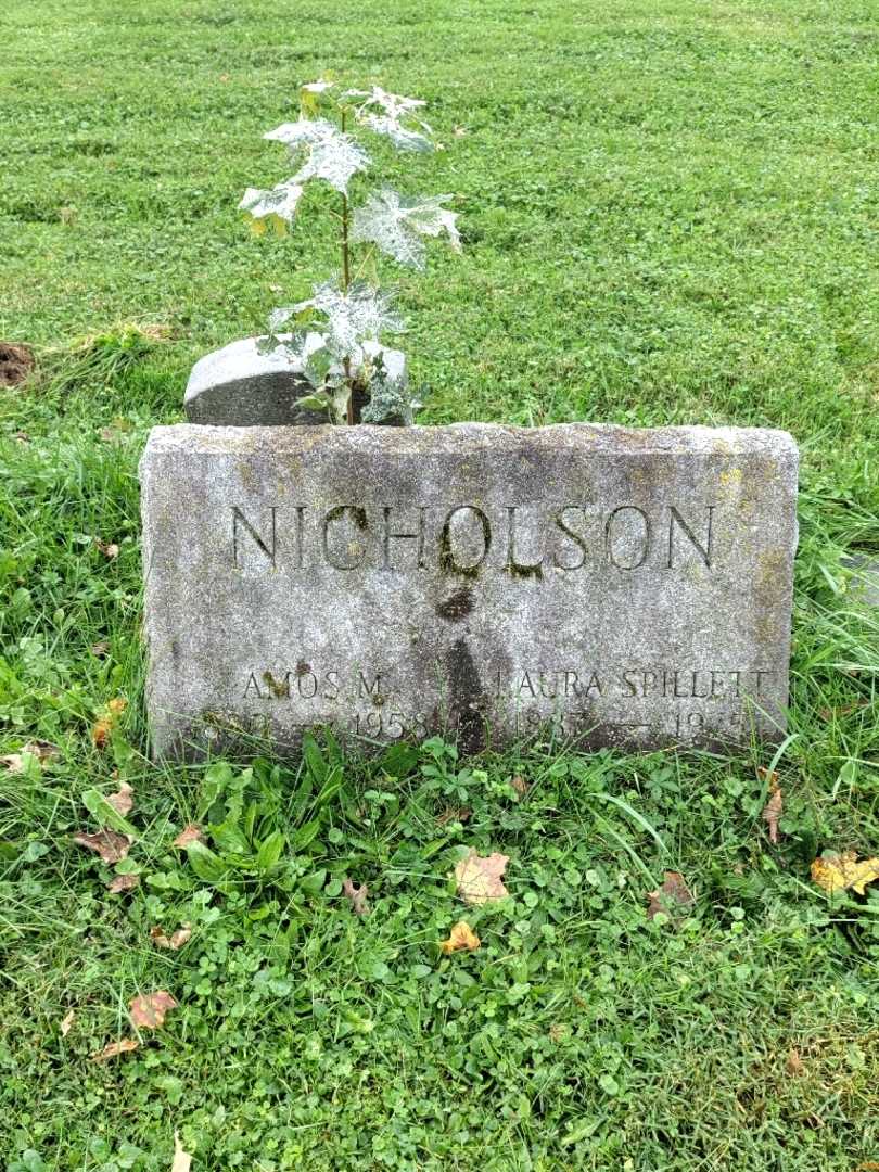 Amos M. Nicholson's grave. Photo 2