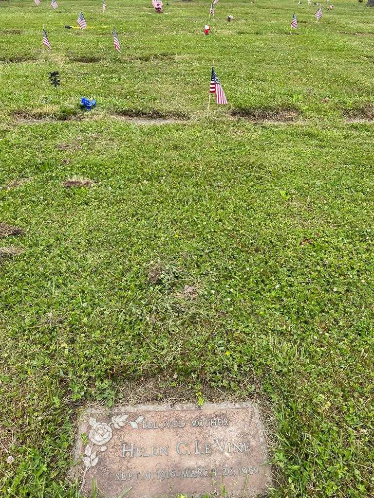 Helen C. Le Vine's grave. Photo 2