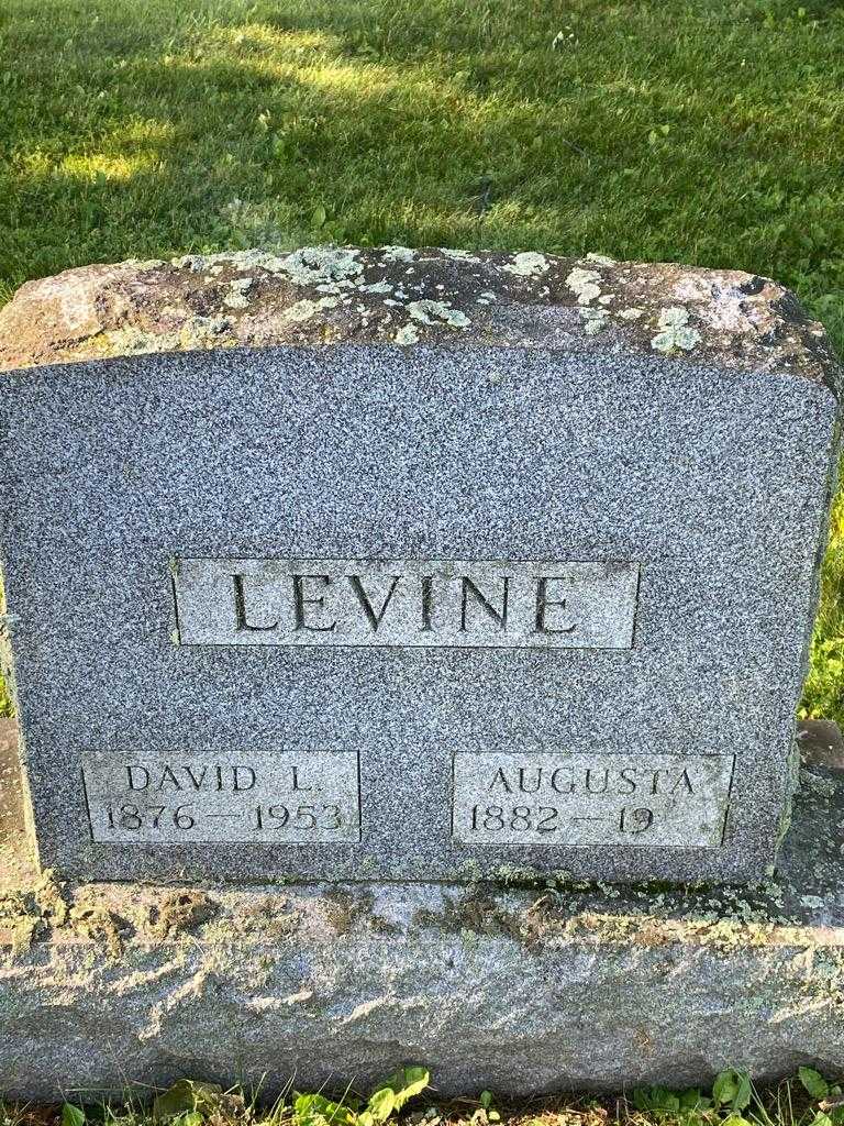 David L. Levine's grave. Photo 3
