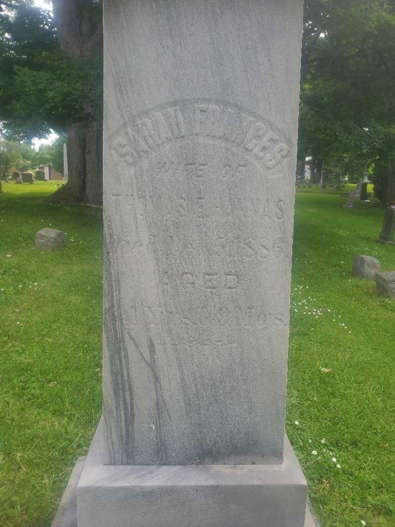 Sarah Frances Hannas's grave. Photo 4