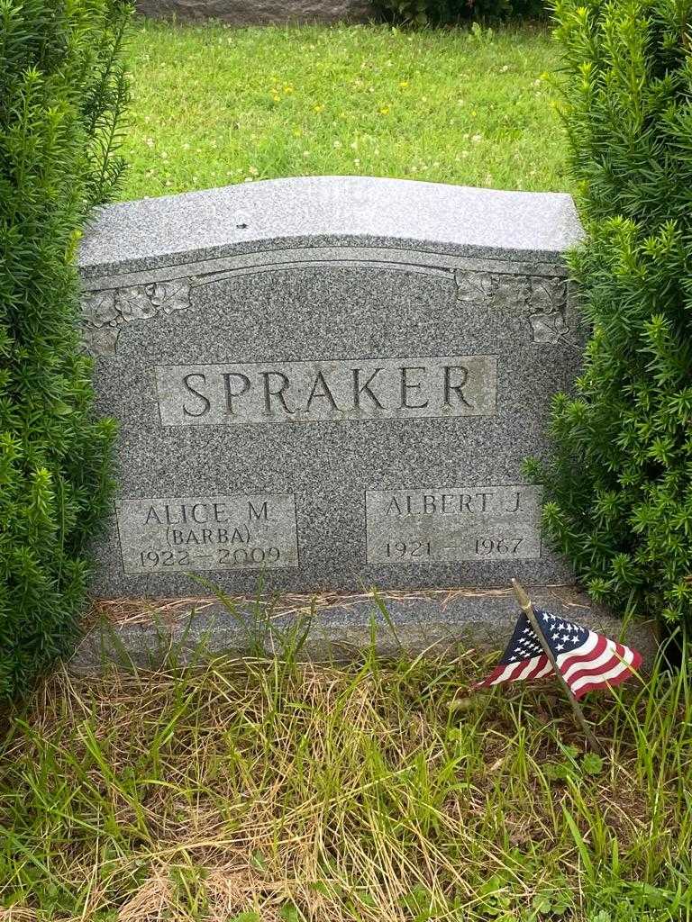 Albert J. Spraker's grave. Photo 3