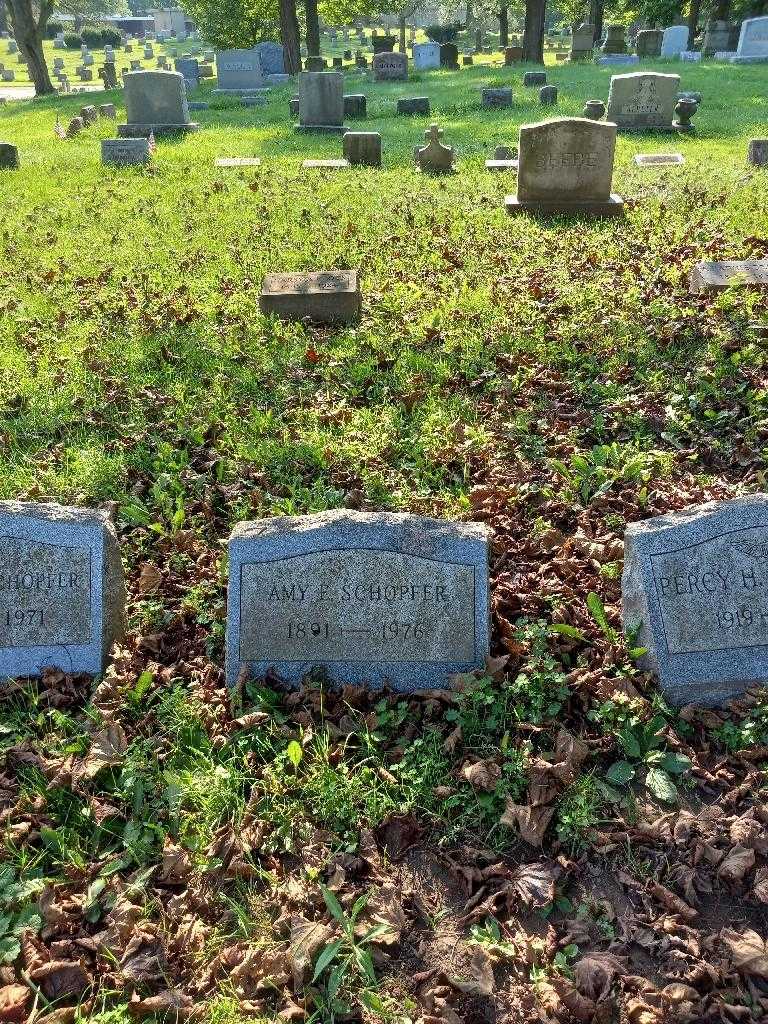 Amy E. Schopfer's grave. Photo 1