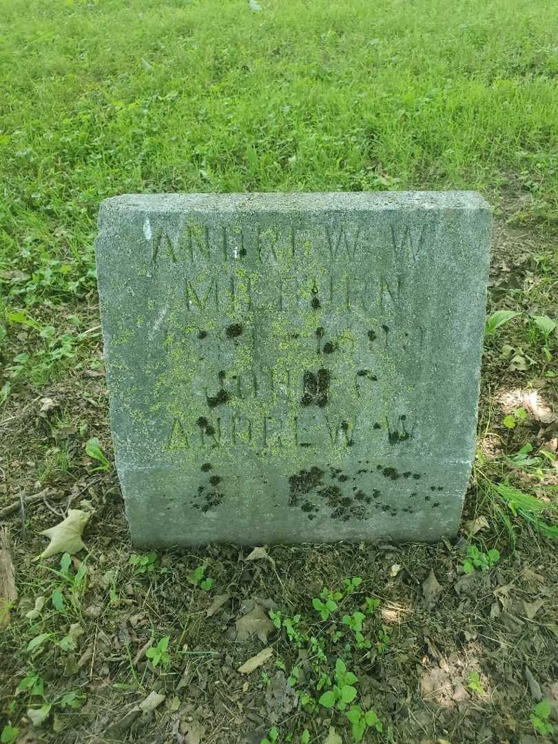 Frances Higginbottom's grave. Photo 3