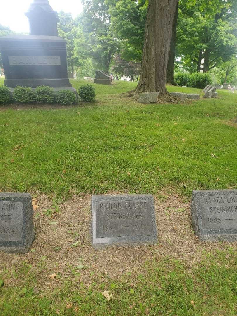 Pauline Steinbicker Clarke's grave. Photo 1