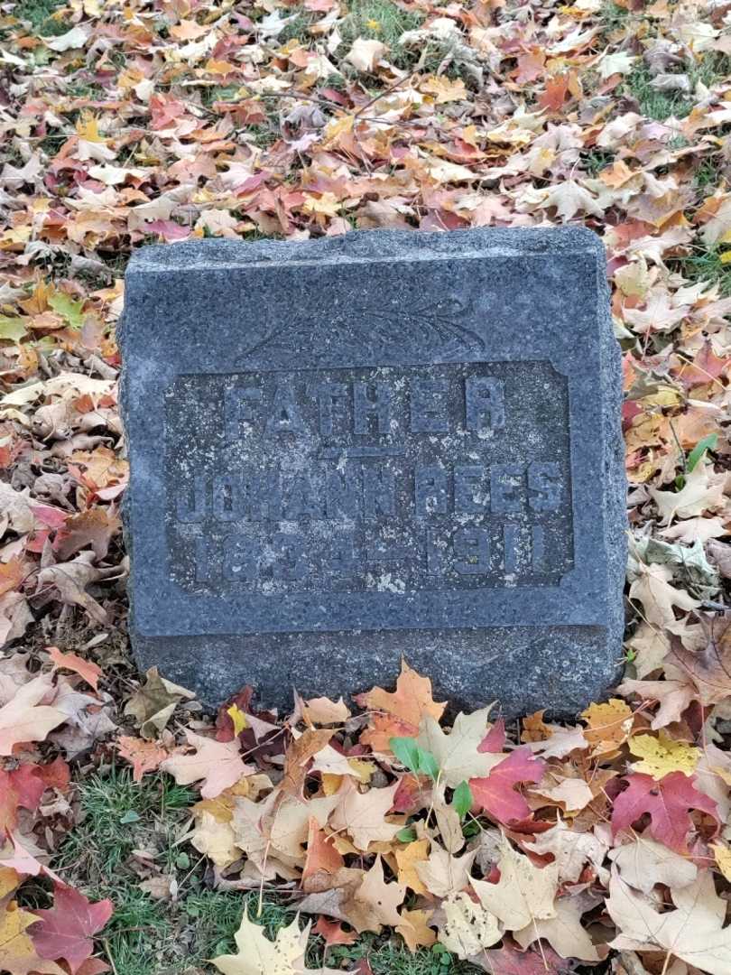 Johann Rees's grave. Photo 2