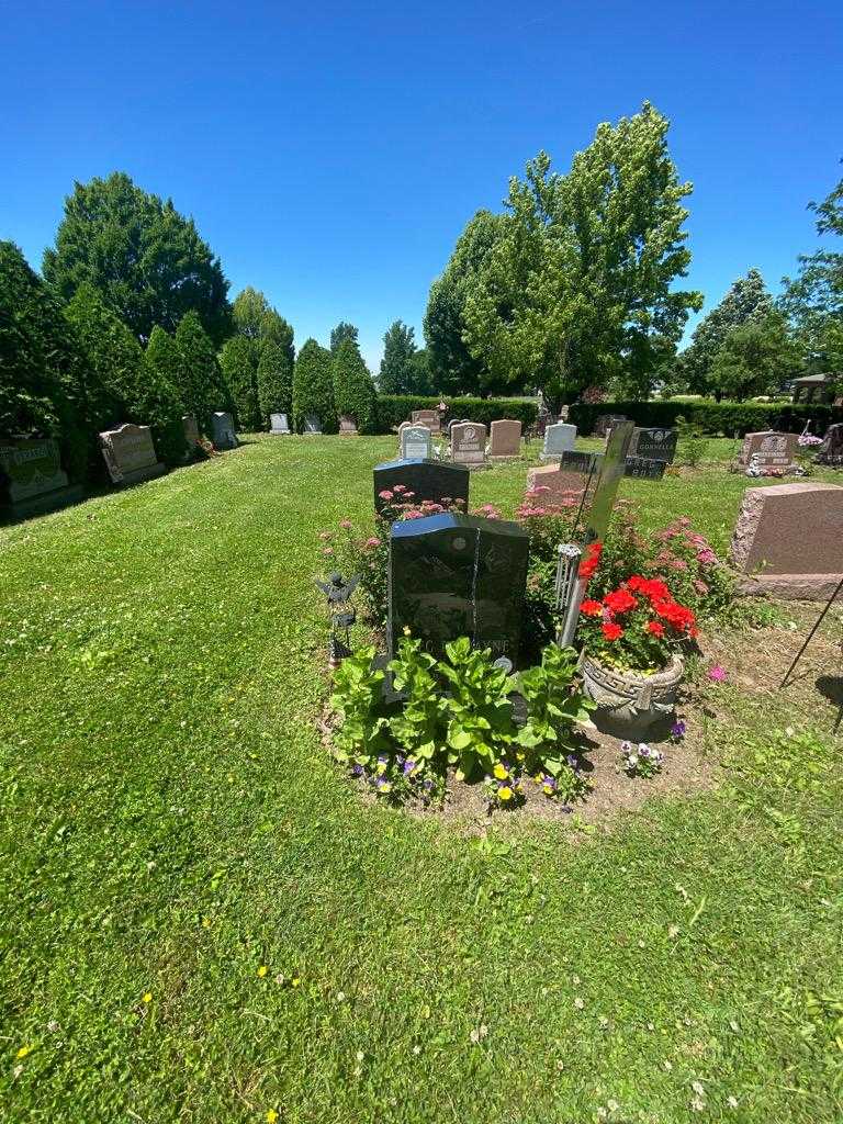 Greg R. Wayne's grave. Photo 1