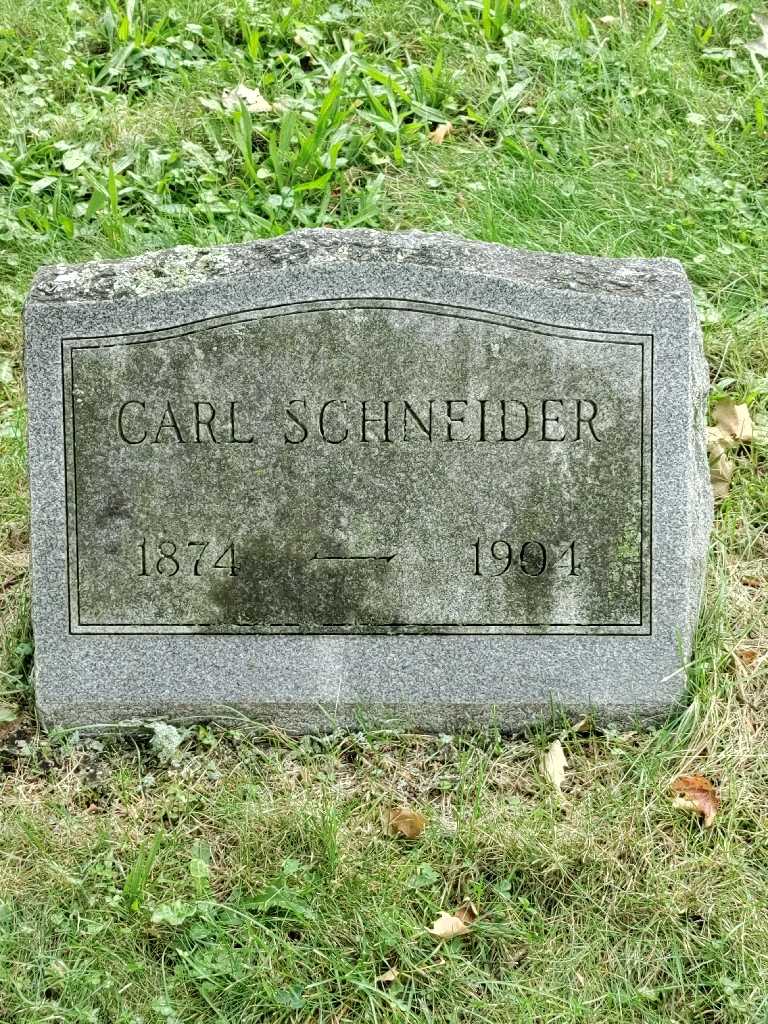 Carl Schneider's grave. Photo 3