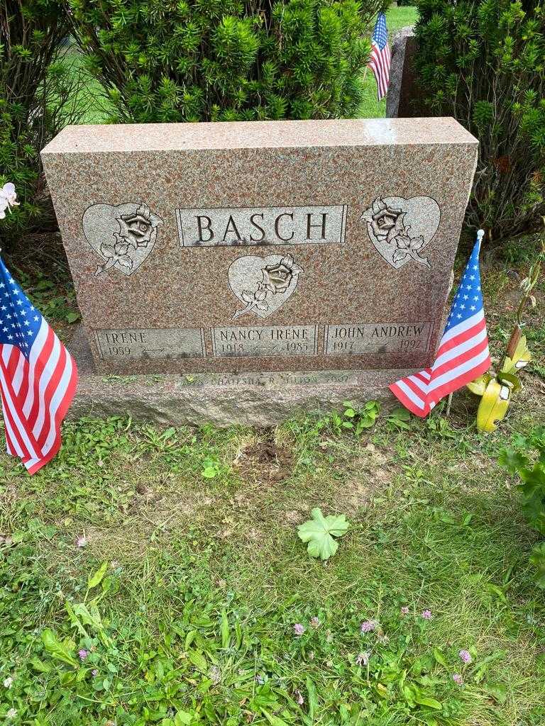 John Andrew Basch's grave. Photo 2