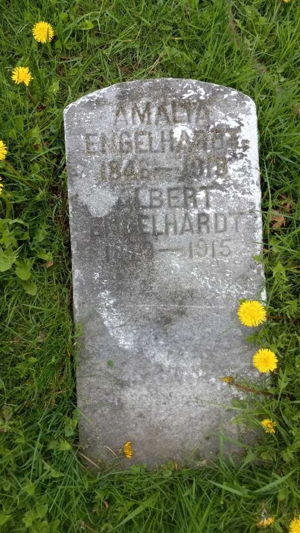 Amalia Engelhardt's grave. Photo 3