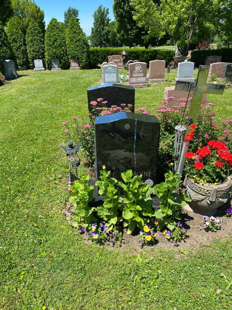 Greg R. Wayne's grave. Photo 2
