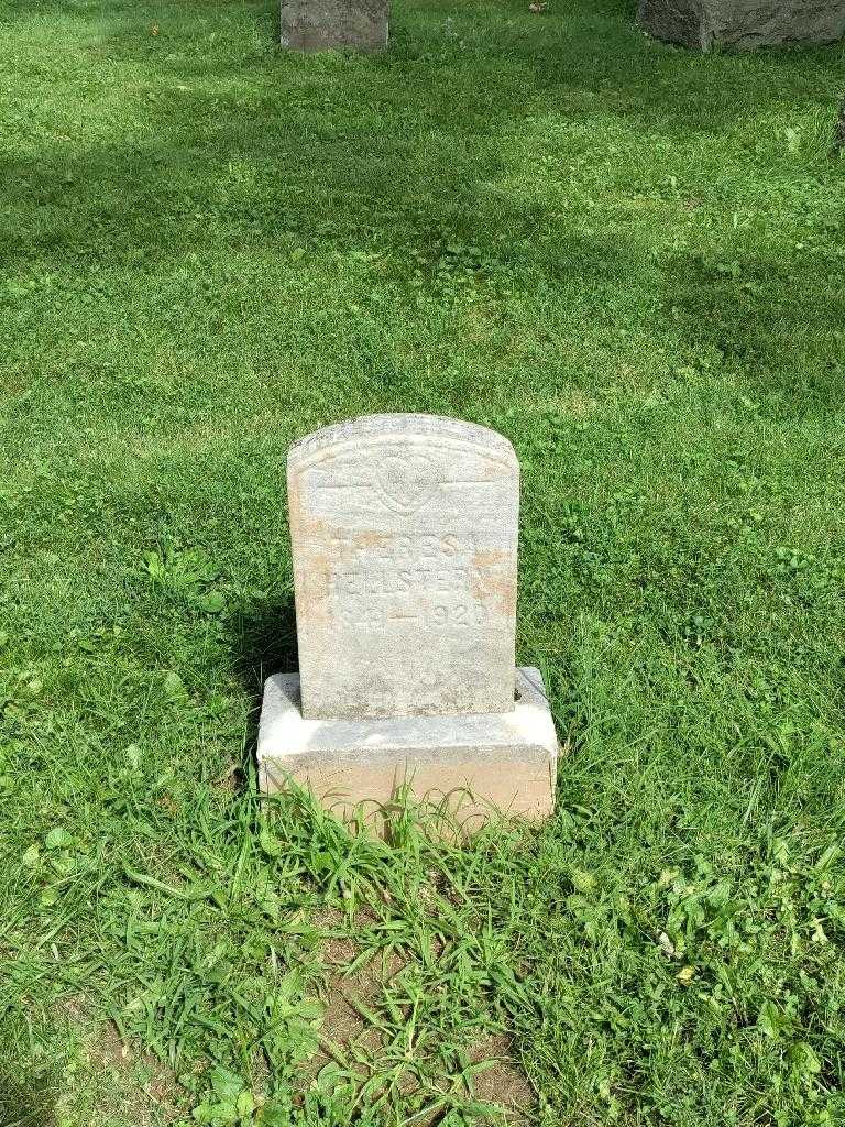 Theresa Hellstern's grave. Photo 2
