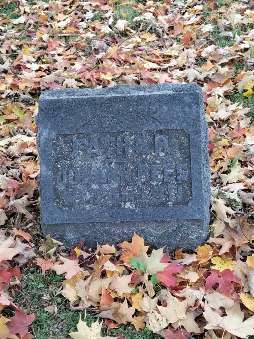Johann Rees's grave. Photo 3