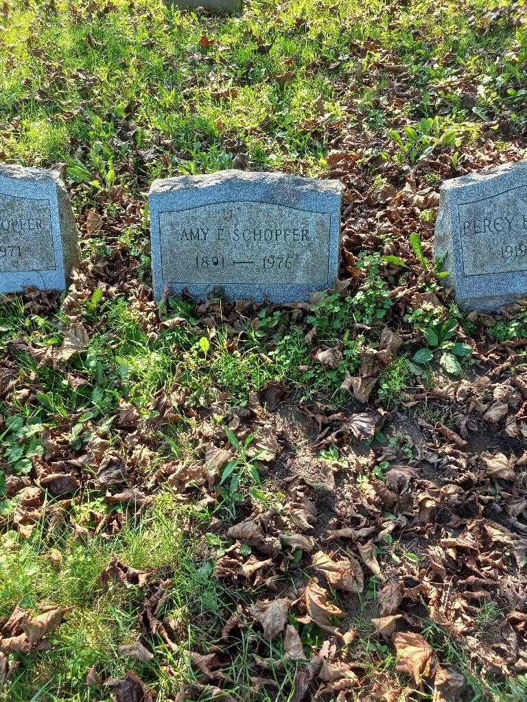 Amy E. Schopfer's grave. Photo 2