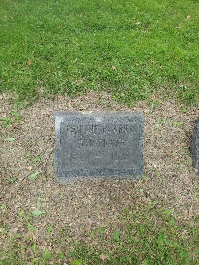 Pauline Steinbicker Clarke's grave. Photo 2