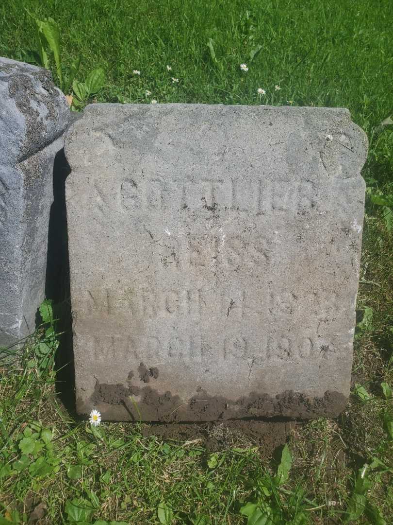 Gottlieb Henry Reiss's grave. Photo 4