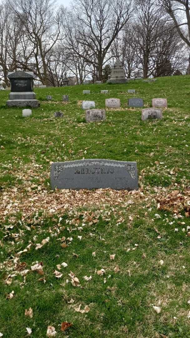 Robert M. Mercurio's grave. Photo 2