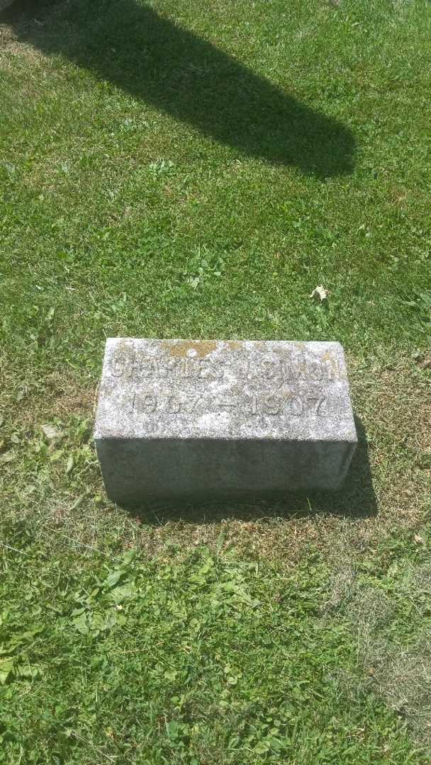 Infant Kratz's grave. Photo 2