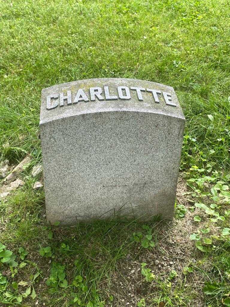 Charlotte Brooks Peters's grave. Photo 3