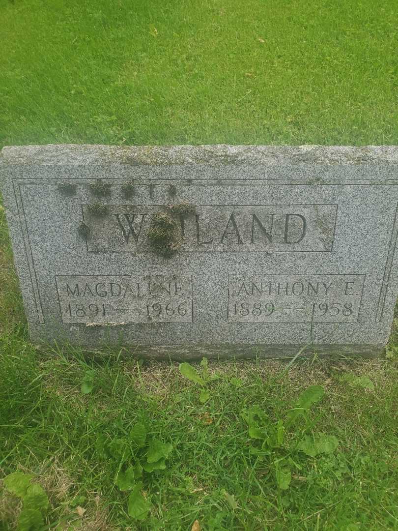 Magdalene Weiland's grave. Photo 1
