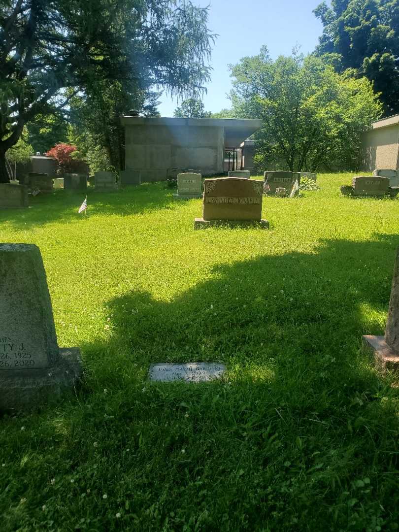 John David Banuski's grave. Photo 1