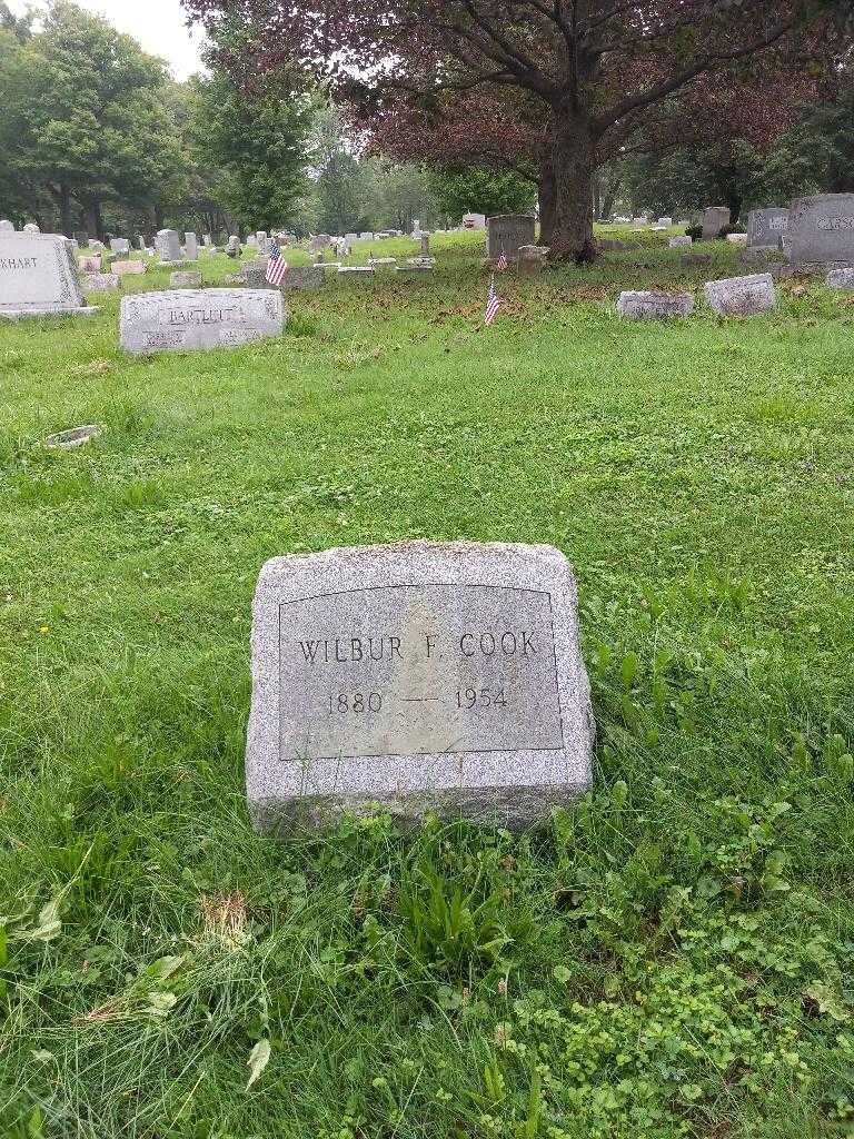 Wilbur F. Cook's grave. Photo 1