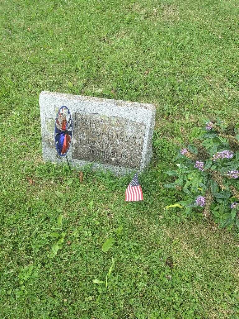 Baby Girl Thompson's grave. Photo 1